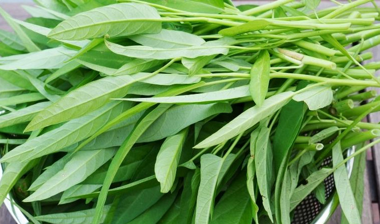Gemüse Ongsoi frisch 1kg