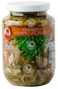 Tamarind Blätter eingelegt Cock 24x454g