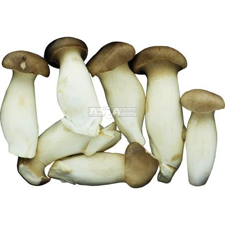 King Oyster Pilze MAO XIONG 20x150g