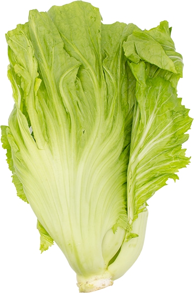 TH_19116k.jpg TH_19116k.jpg