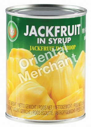 Jackfrucht in Sirup X.O 24x565g