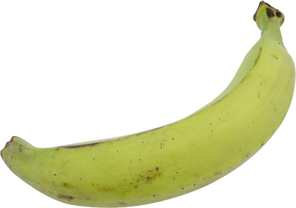 TH_348155k.jpg