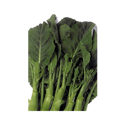 Kailan frisch 1kg