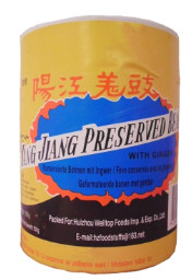 Furong Konservierte Bohnen mit Ingwer 40 x 500g