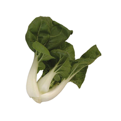Gemüse Mini Pakchoi 1kg