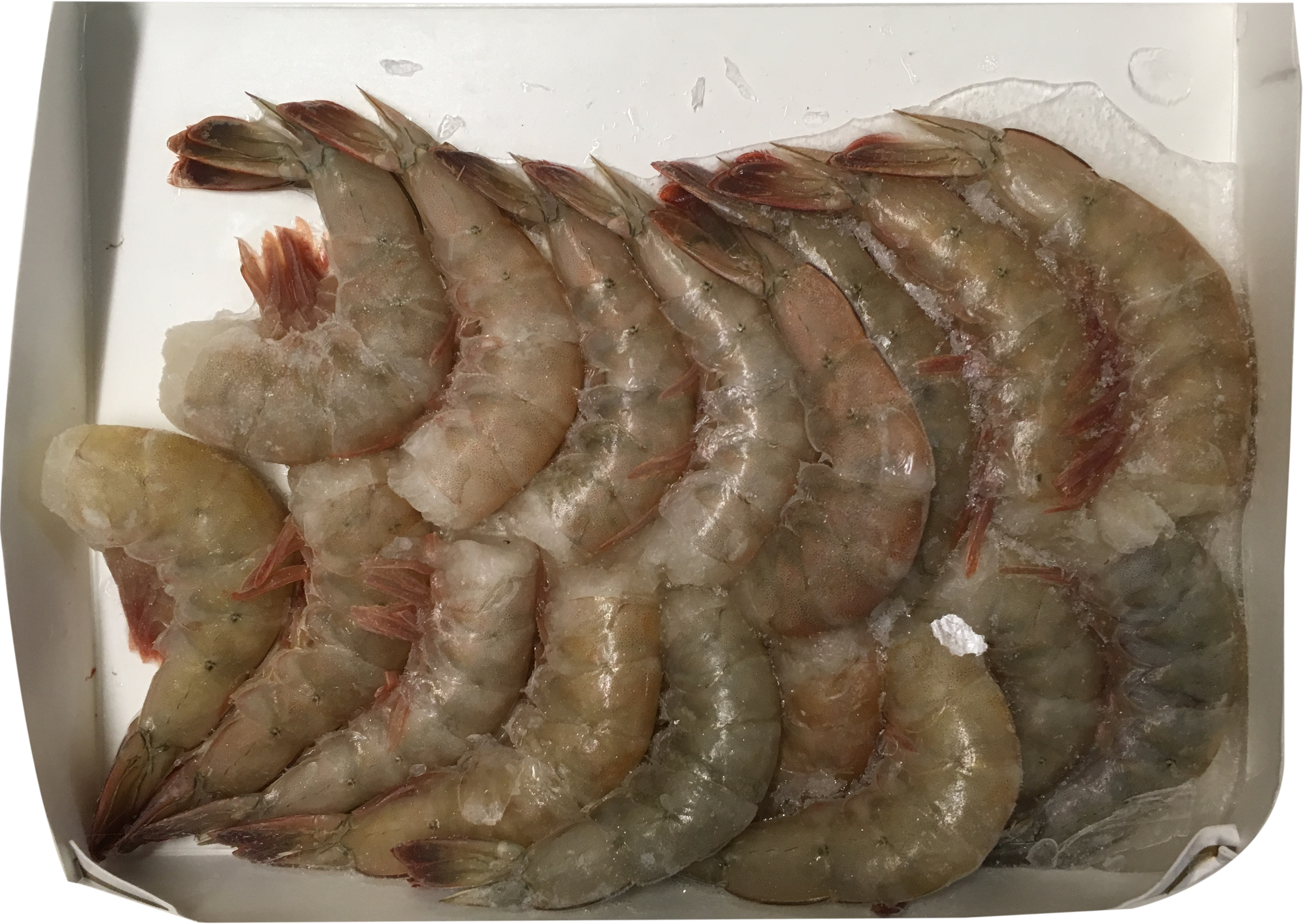 Garnelen 16-20 okms ECUADOR 12X1KG