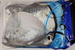 Mondfisch 6-8 St. Jona 10x1kg