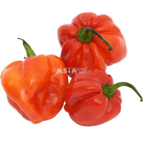 Habanero rot frisch 1kg