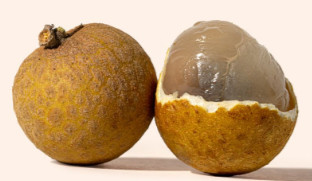 Longan frisch aus Thailand 6x1kg