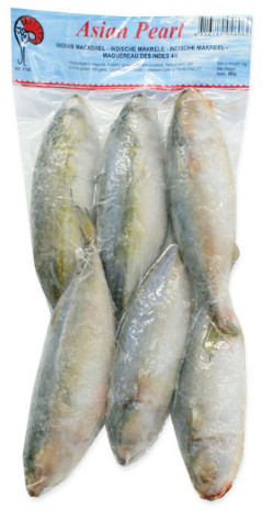 Indische Makrele roh, ganz 4/6 Mooijer 10x1kg