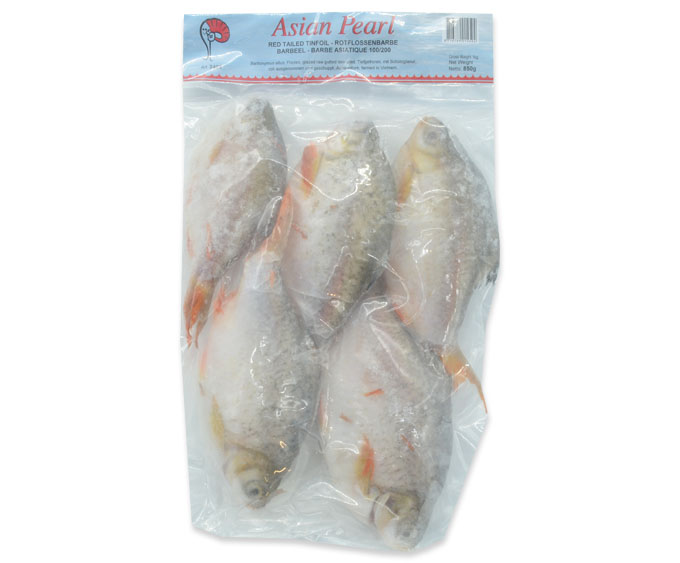 Rotflossenbarbe roh ausgenommen und geschuppt 	10X1 KG