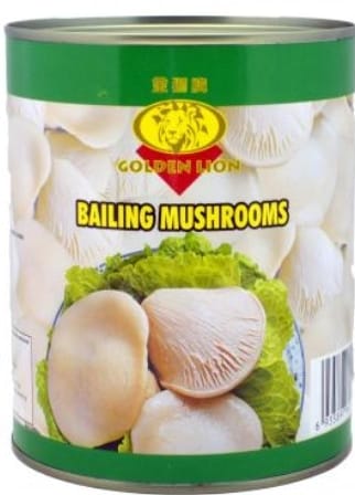 Bailing Pilz.jpg Bailing Pilz.jpg