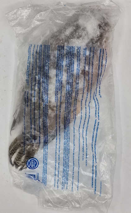 Tilapia schwarz 500-800g 4kg