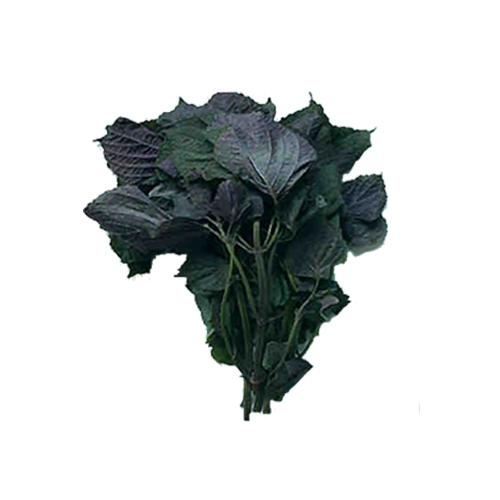 TH_74k.jpg TH_74k.jpg