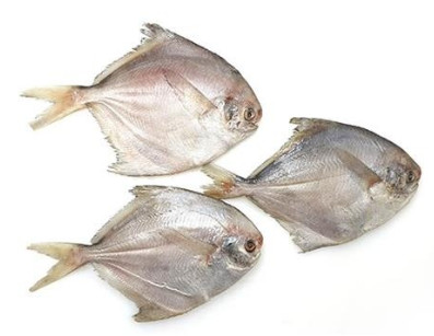 SILVER POMFRET (REAL ZUBAIDI/RUPCHANDA) 10X1 KG 200-250G