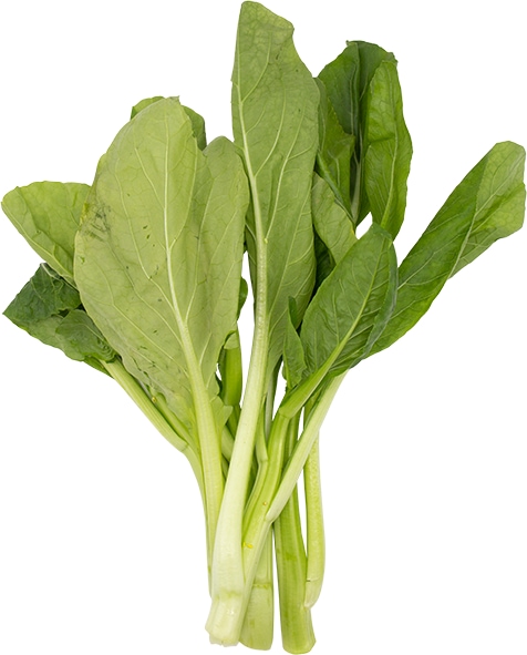 TH_19117k.jpg
