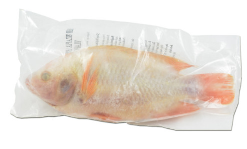 Tilapia rot 750/1000 netto 4kg brutto 5kg