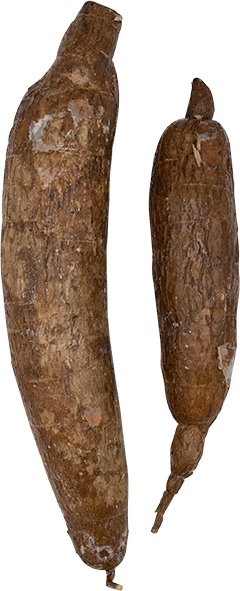 TH_19124k.jpg