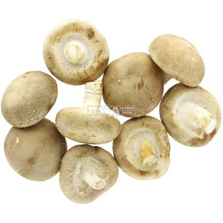 Shiitake Pilze Mao Xiong 20 x 150g