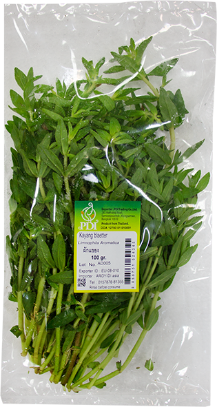 Rau Om Kayangblätter frisch 100g